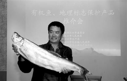圖文：丹江口市委、市政府舉辦有機魚、地理