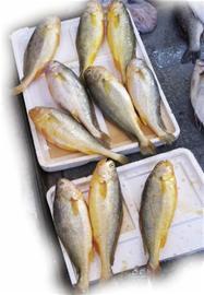 Img322798683