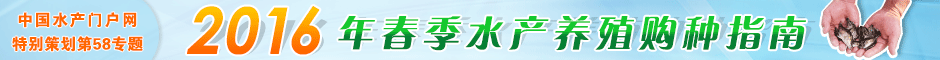 2016괺ˮaBֳُNָ